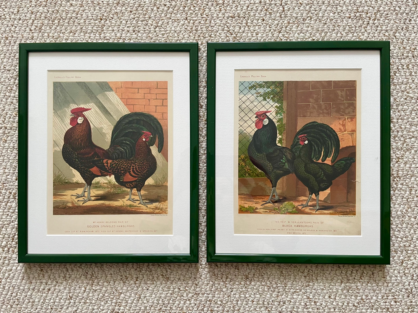 Antique Lithographs - The Chickens