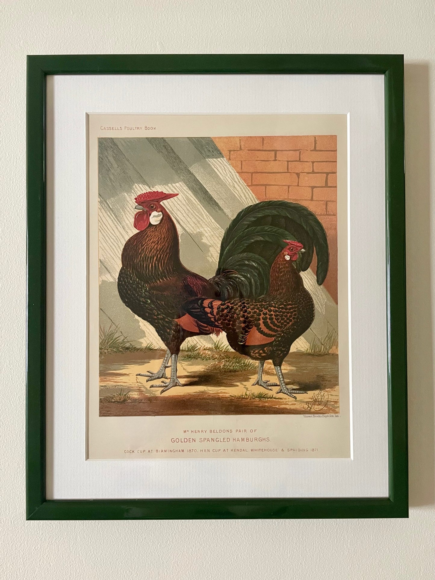 Antique Lithographs - The Chickens