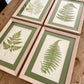 Antique Botanical Prints