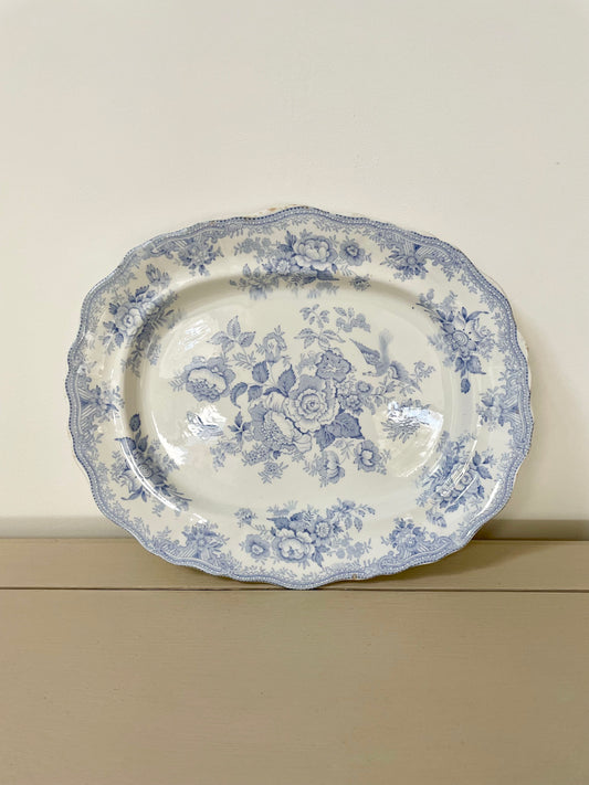 Scalloped Asiatic Pheasant Platter