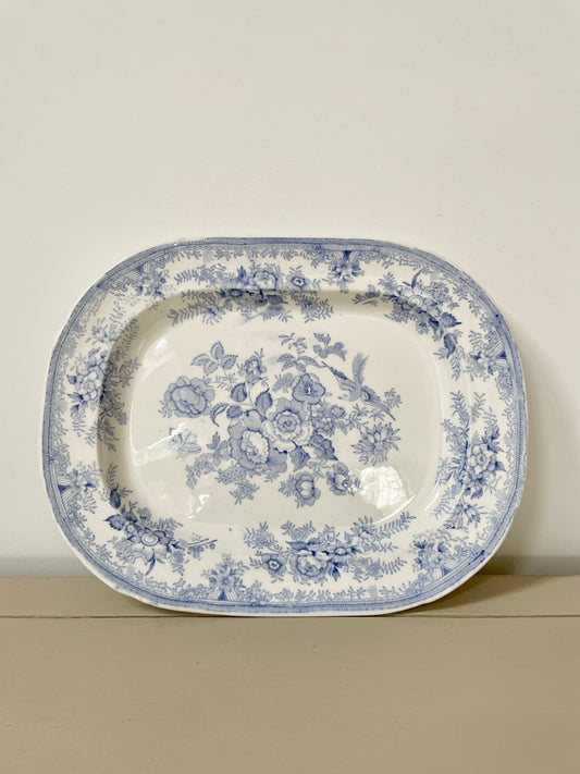 Asiatic Pheasant Platter - Large