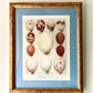 Antique Lithograph - The Eggs