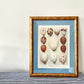 Antique Lithograph - The Eggs
